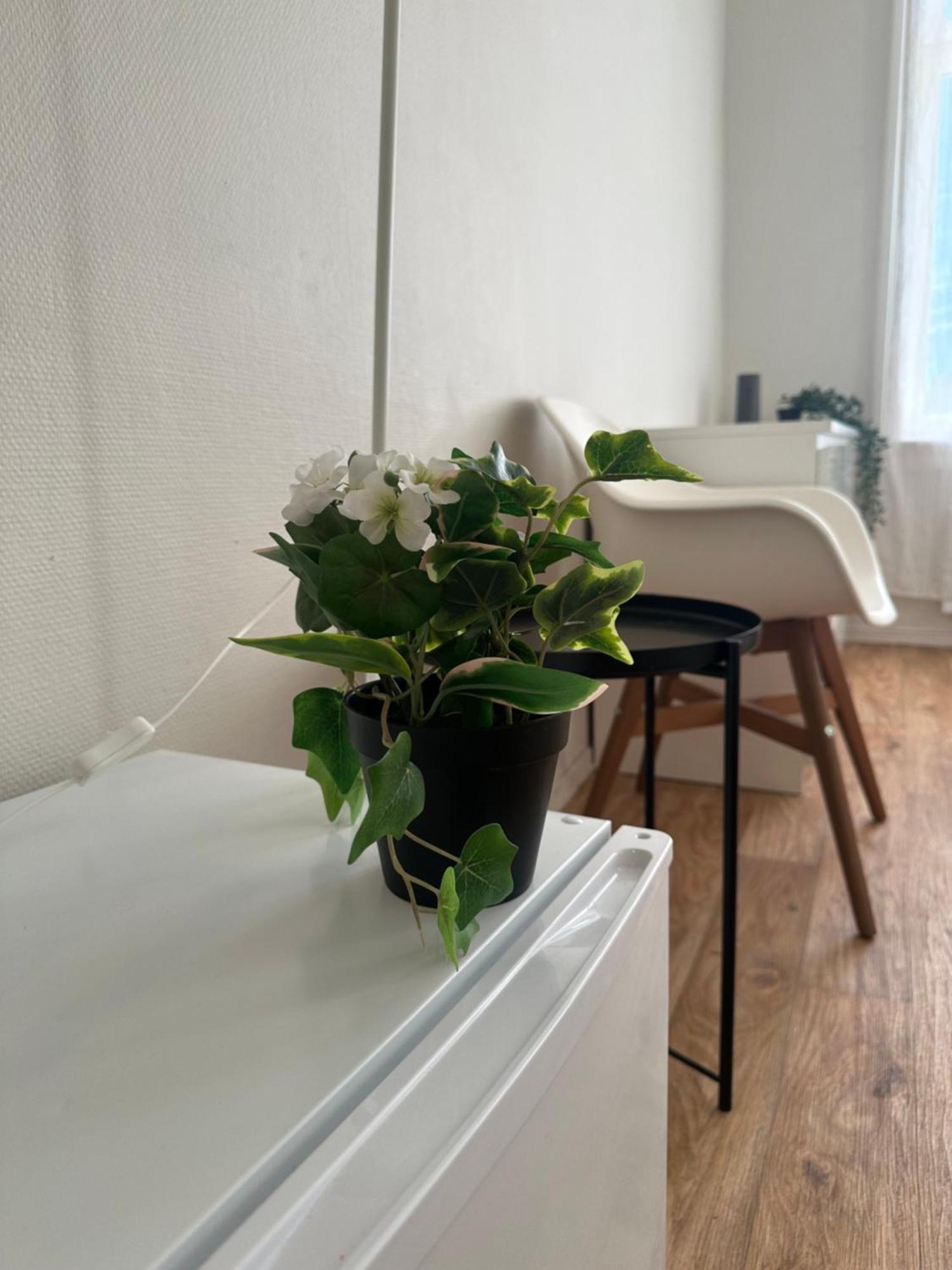 The Bloom Apartments Oslo Kültér fotó